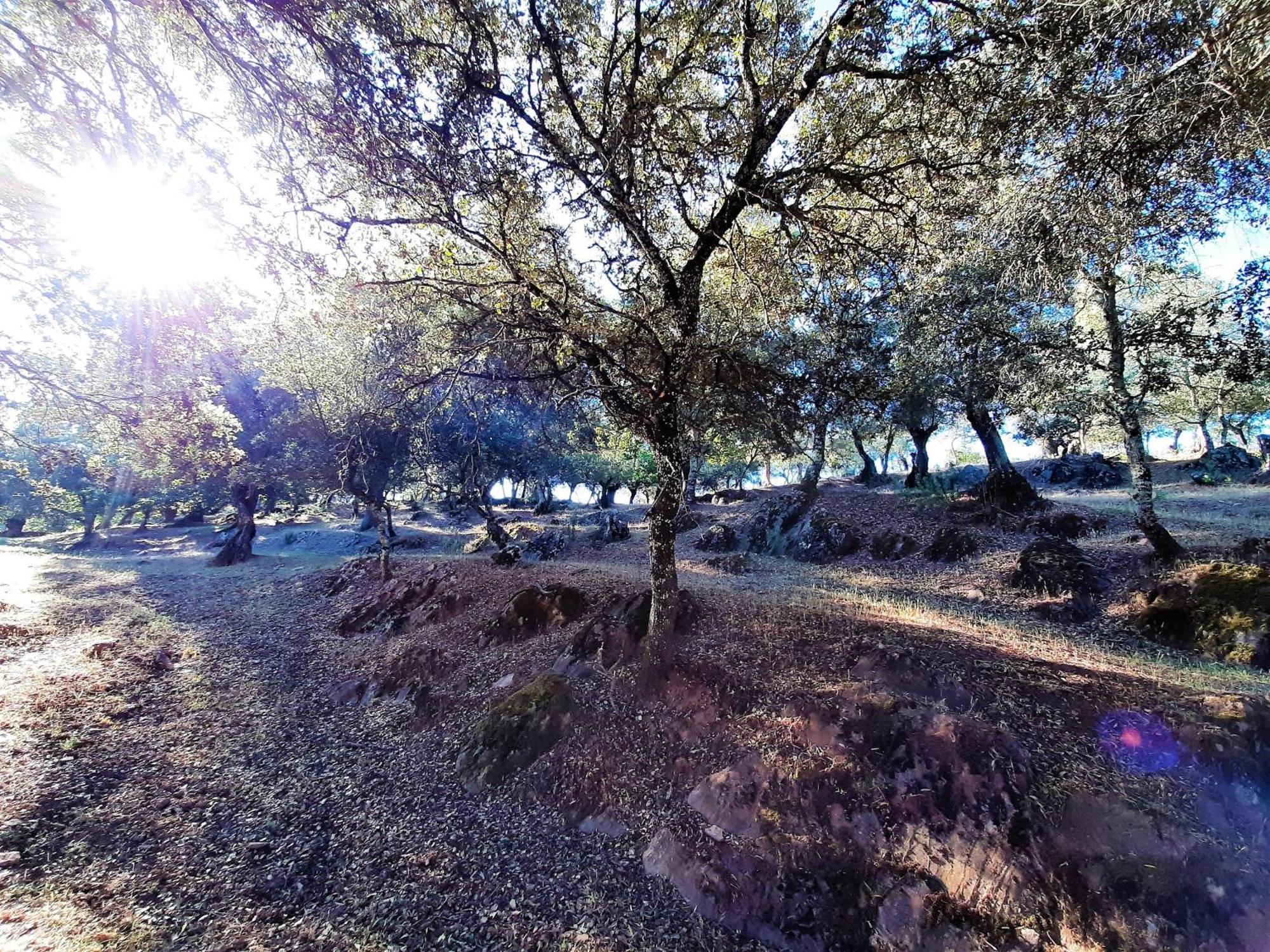 Casa Rural Gurumelo Арасена Экстерьер фото